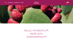 Desktop Screenshot of nochtli.net
